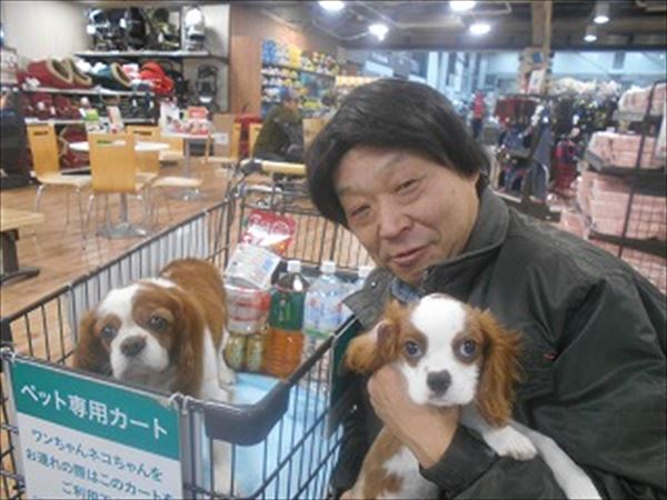 写真
