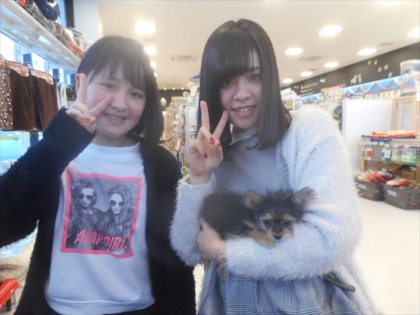 写真