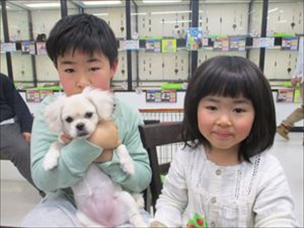 写真