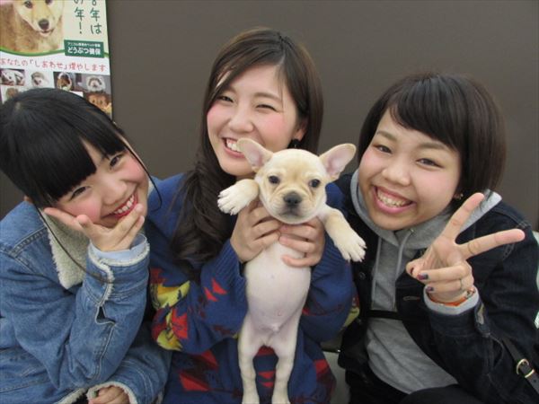 写真