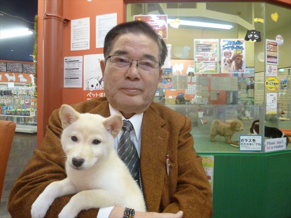 写真