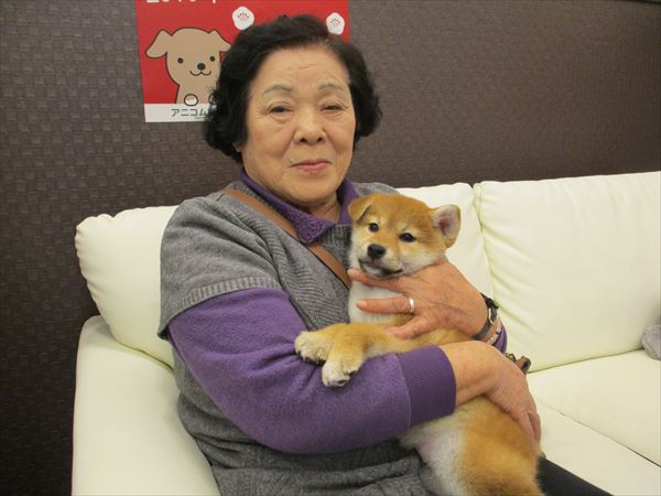 写真