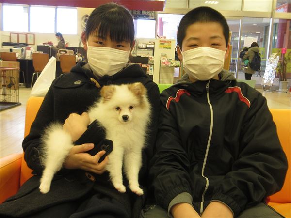 写真