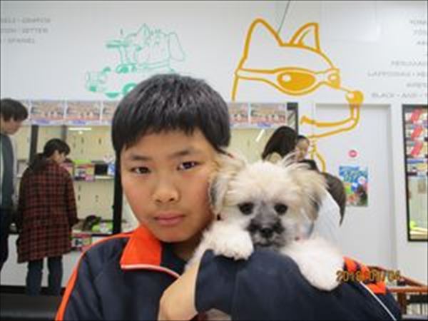 写真