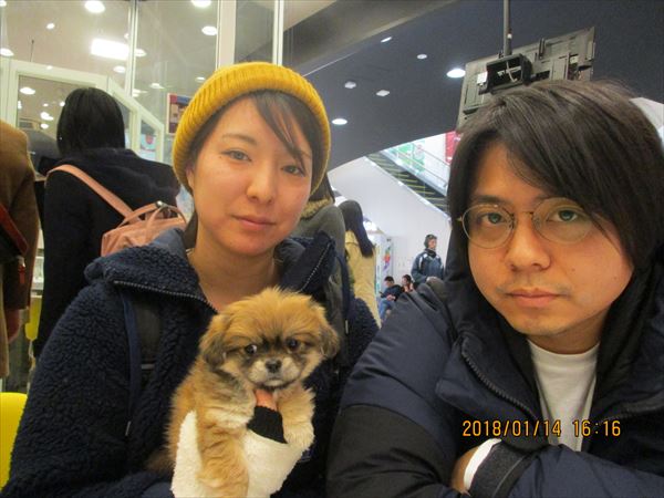 写真