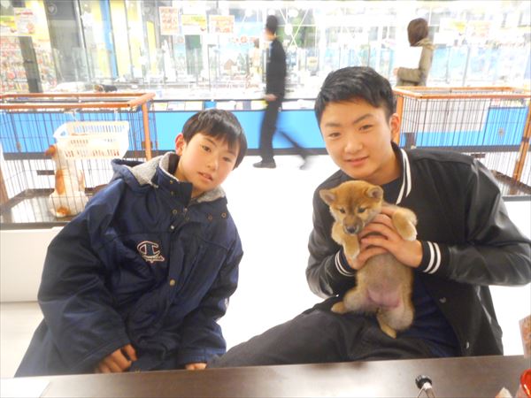 写真