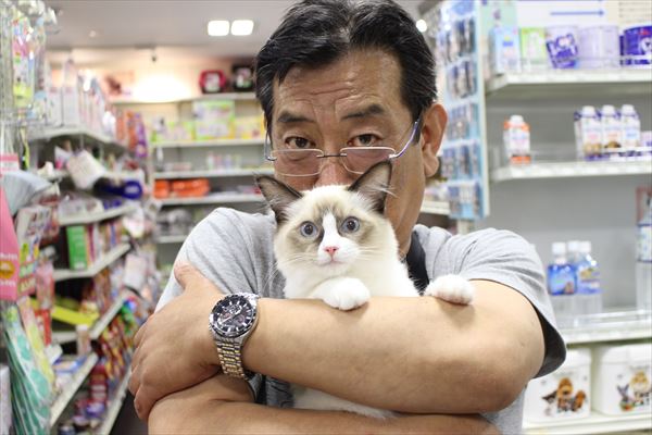 写真