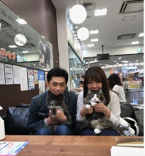 写真