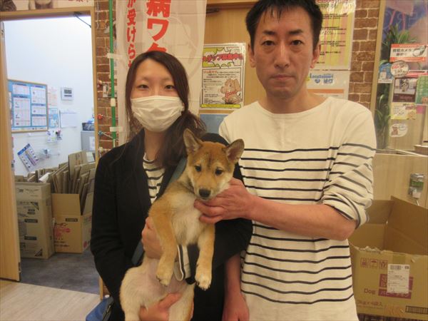写真