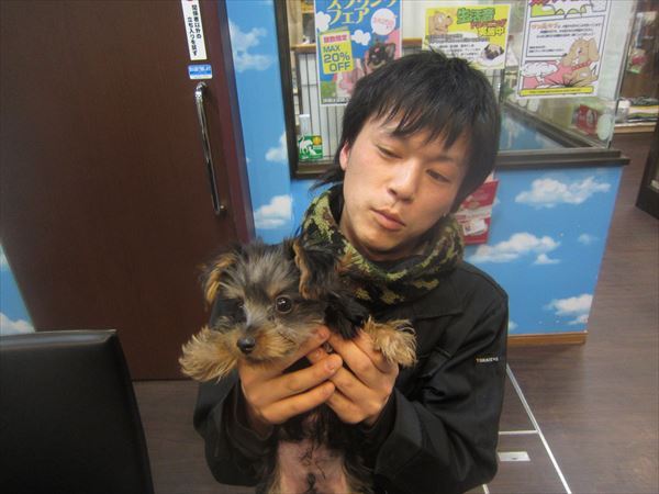 写真