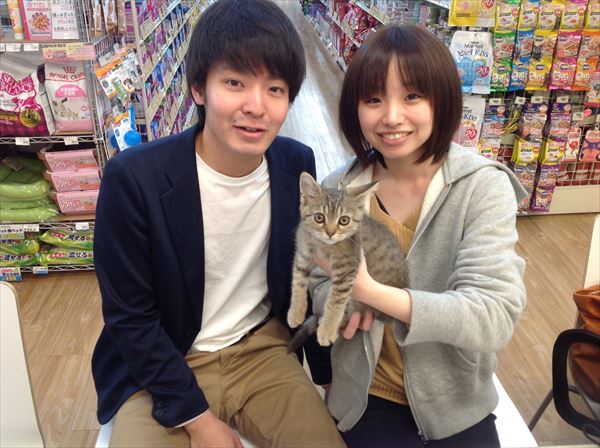 写真