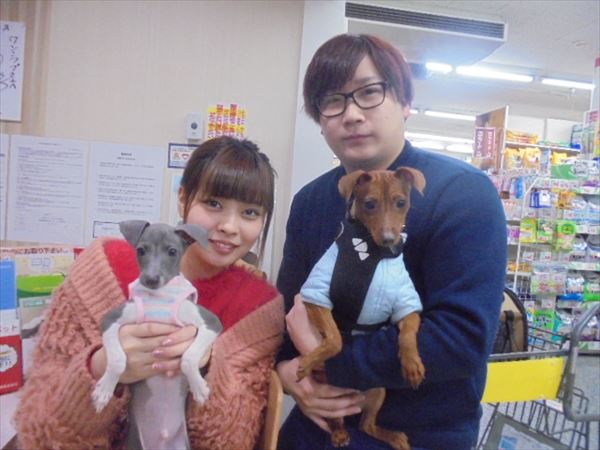 写真