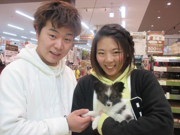 写真