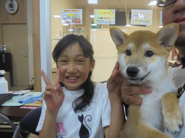 写真