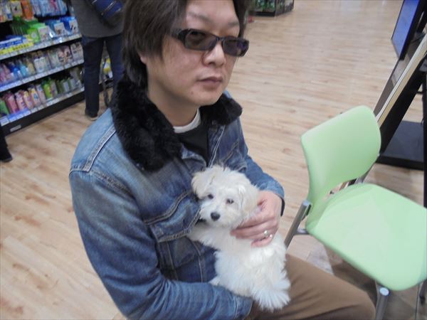 写真