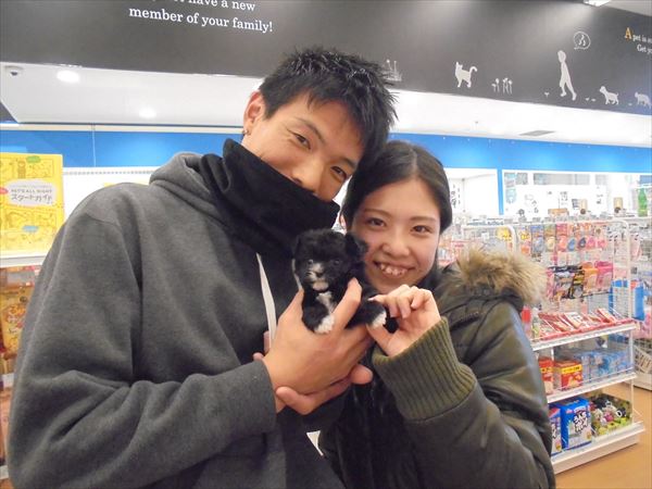 写真
