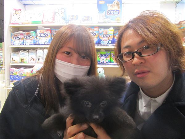 写真