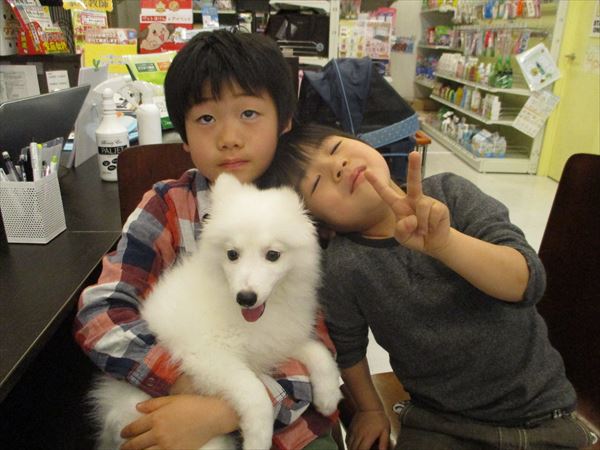 写真