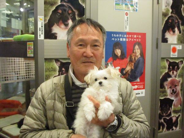 写真