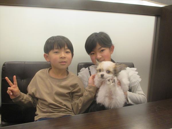 写真