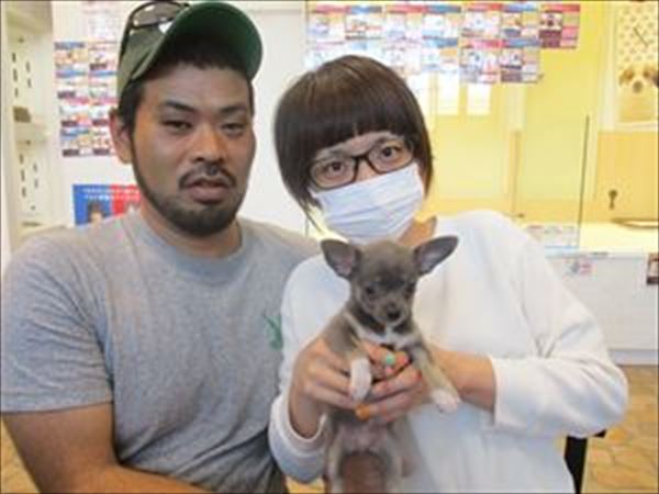 写真