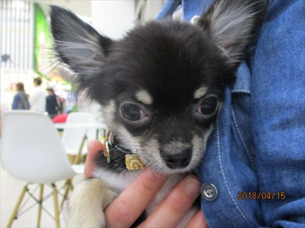 写真