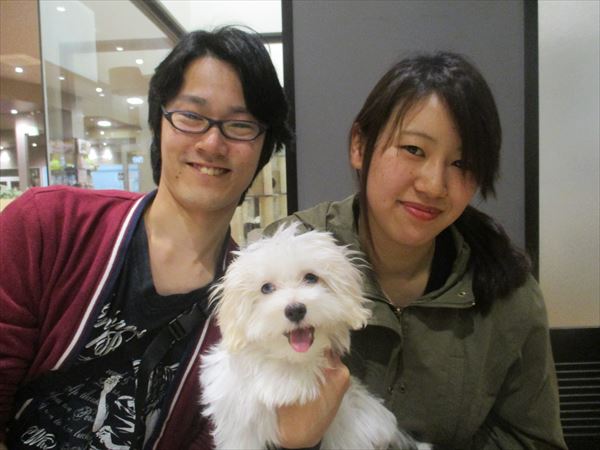 写真