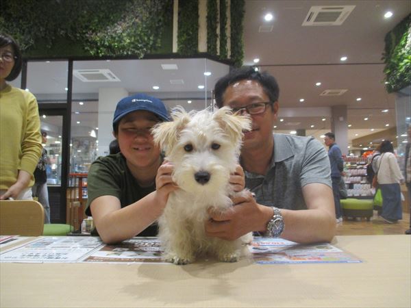写真