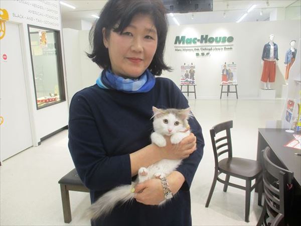 写真