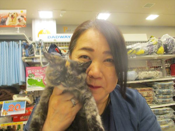 写真