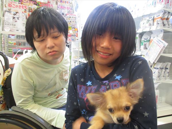 写真