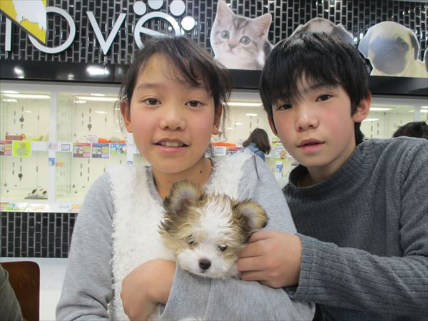 写真