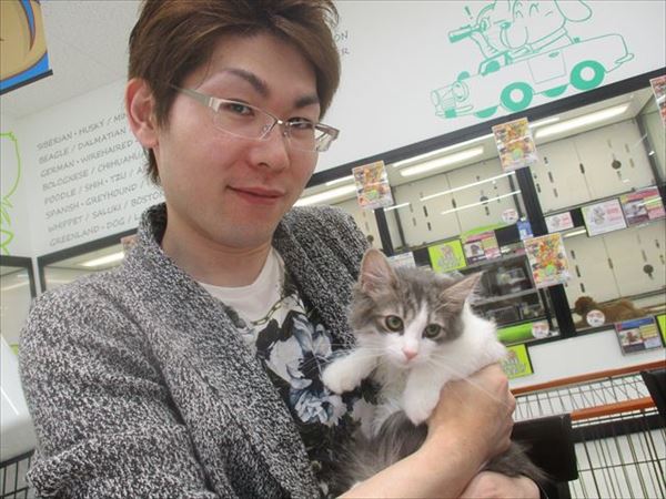 写真