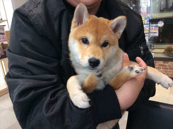 写真