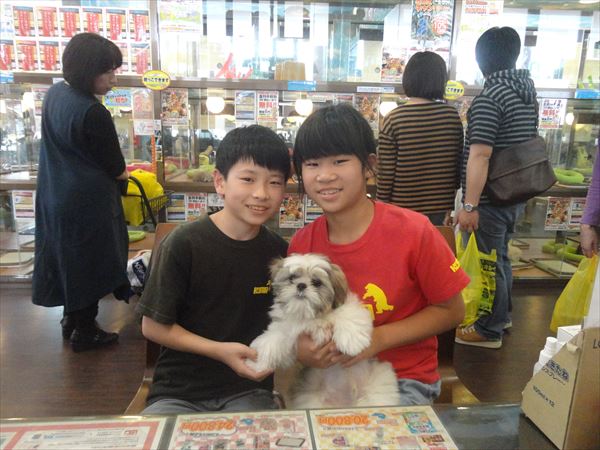 写真