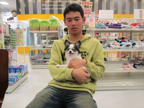 写真
