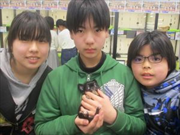 写真