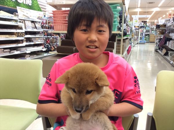 写真