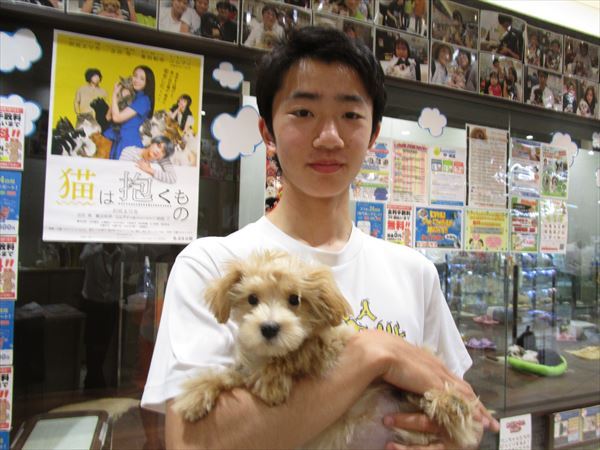 写真
