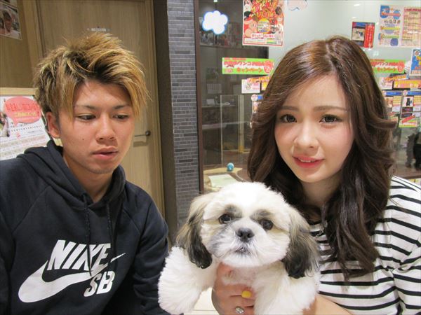 写真