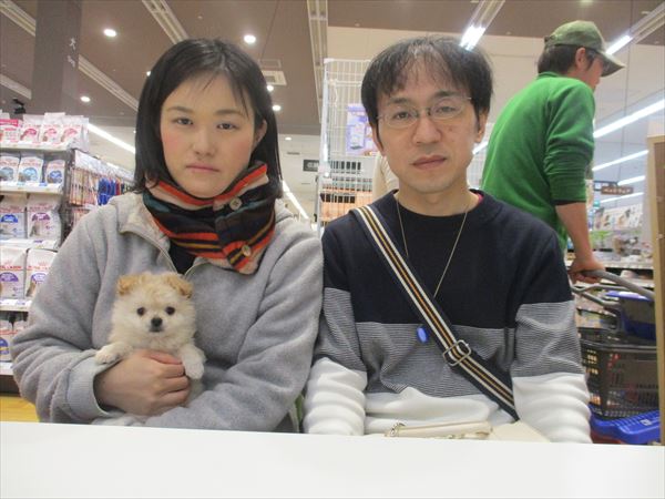 写真