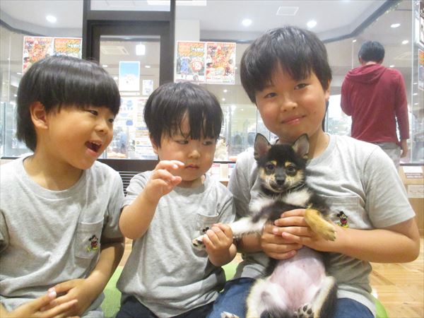写真