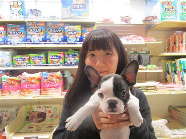写真