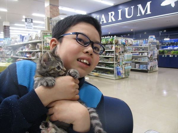 写真