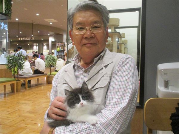 写真