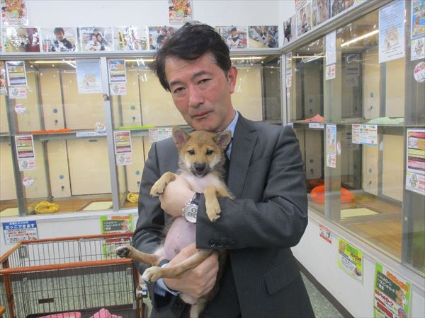 写真