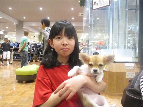 写真