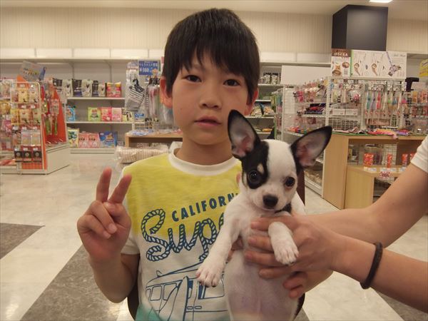写真