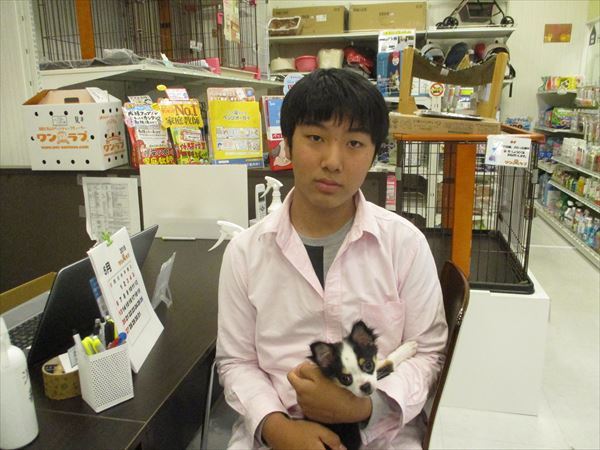 写真