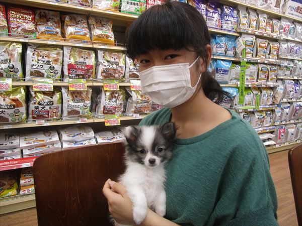 写真